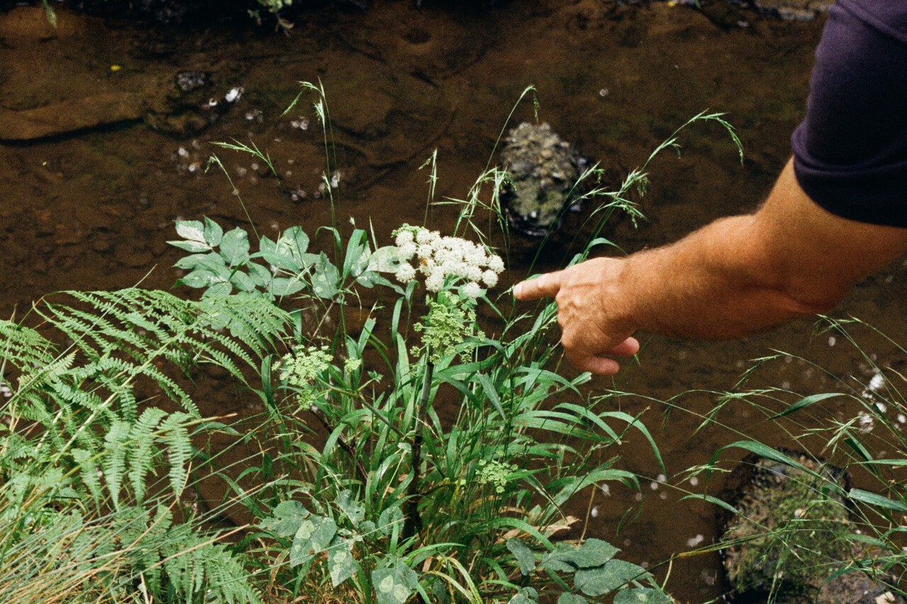 Photo of Black Pond