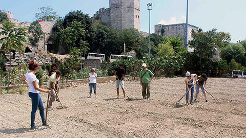 group working in a public garden