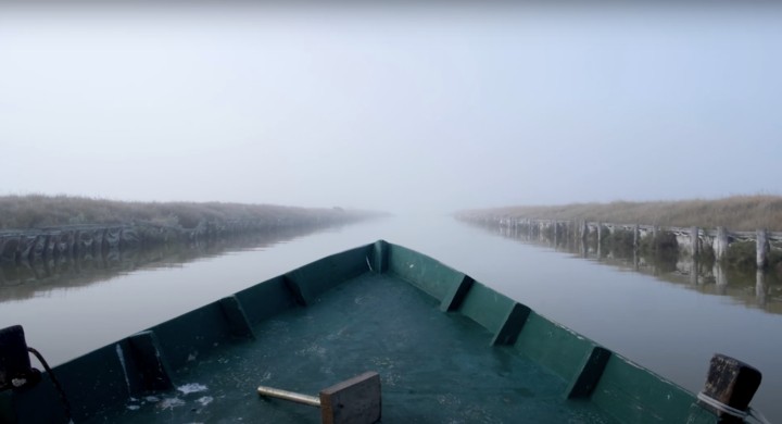 A boat travels down one of the many canals that form the levee system that structures the Po River Delta. Image by Mariachiara Ficarelli