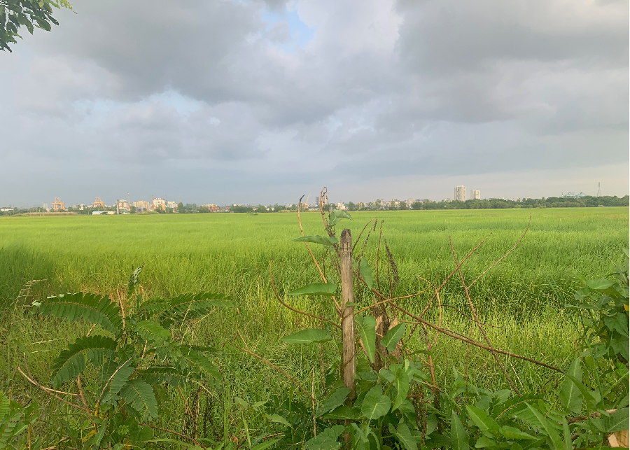 Photo of field of grass with a city at the edge and many gray clouds.